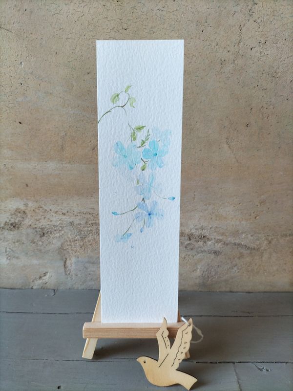 Cielo fiorito