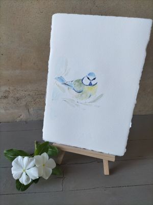 Piccolo amico