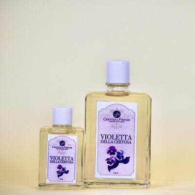 Violetta