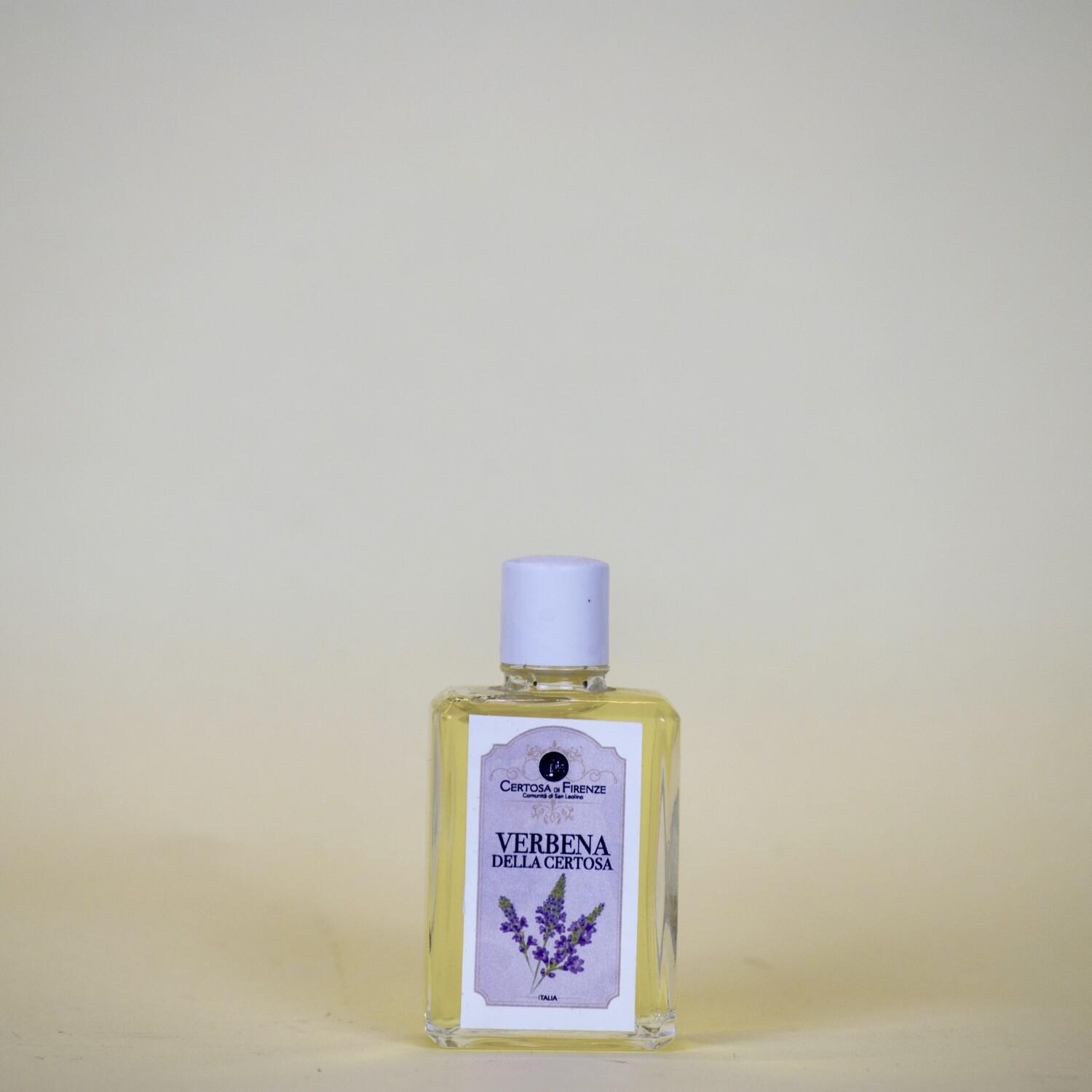Verbena