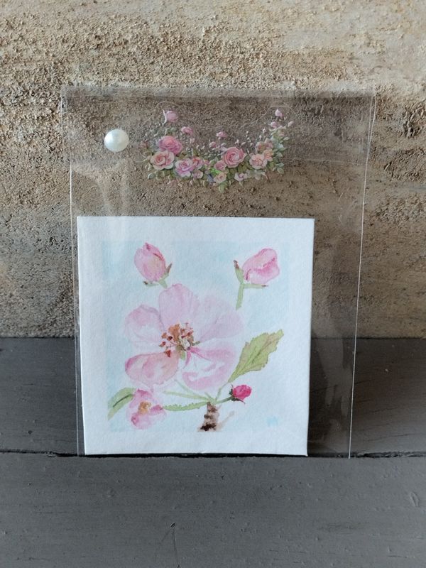 Primavera