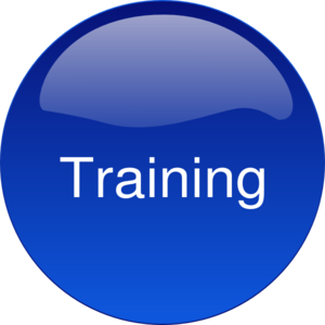 Training / Consulting 5 Hours