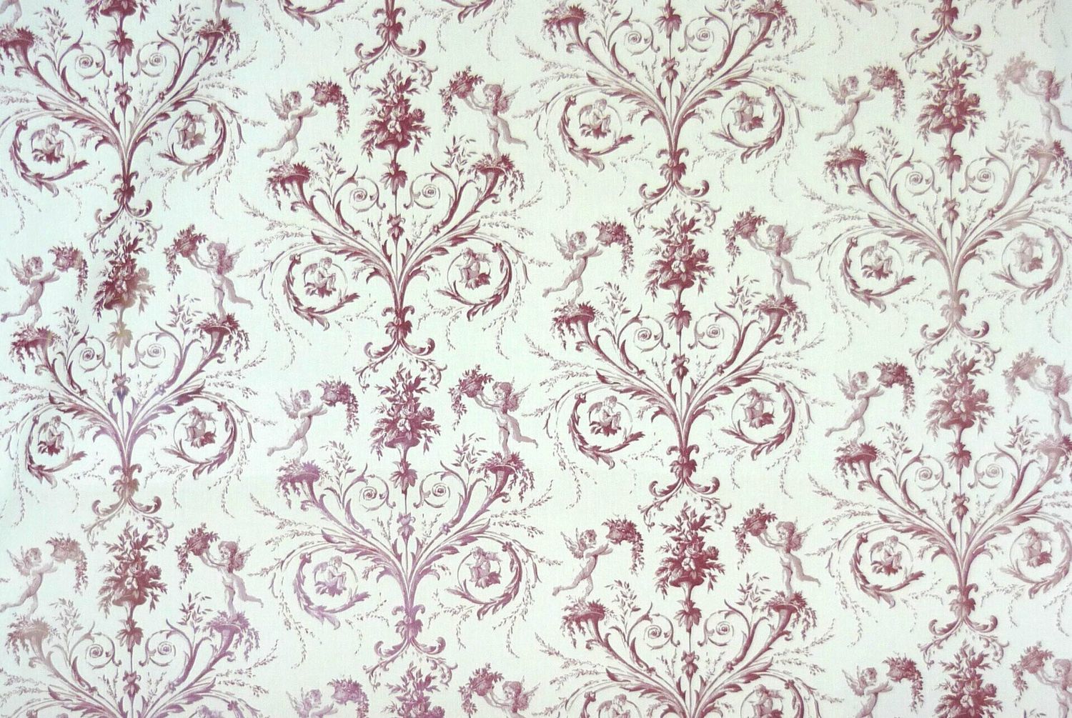 Percale LES ANGELOTS