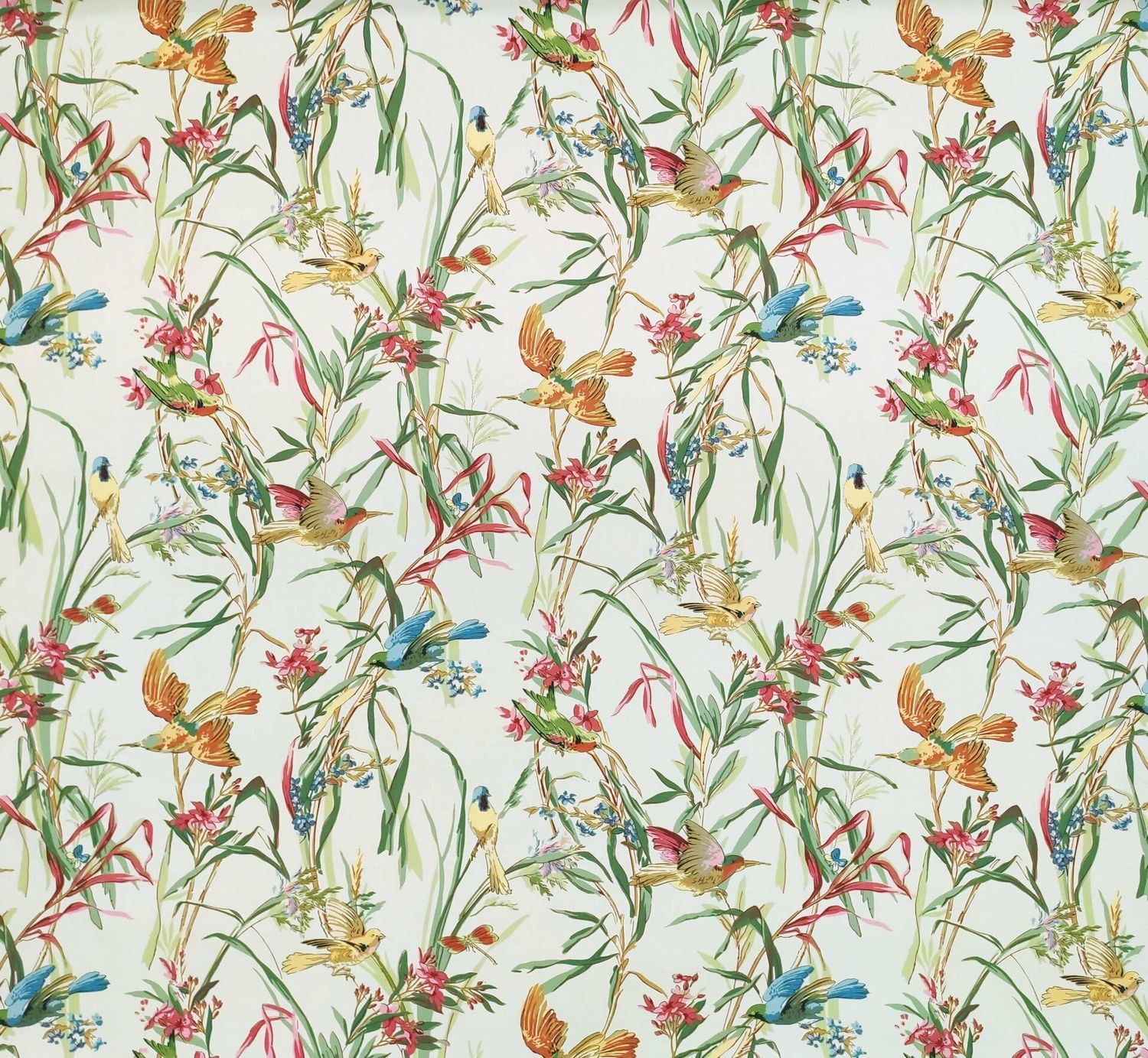 Percale PARADISIERS
