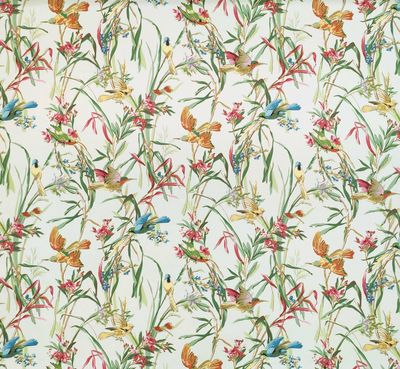 Percale PARADISIERS