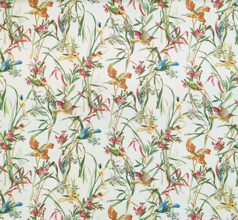 Percale PARADISIERS