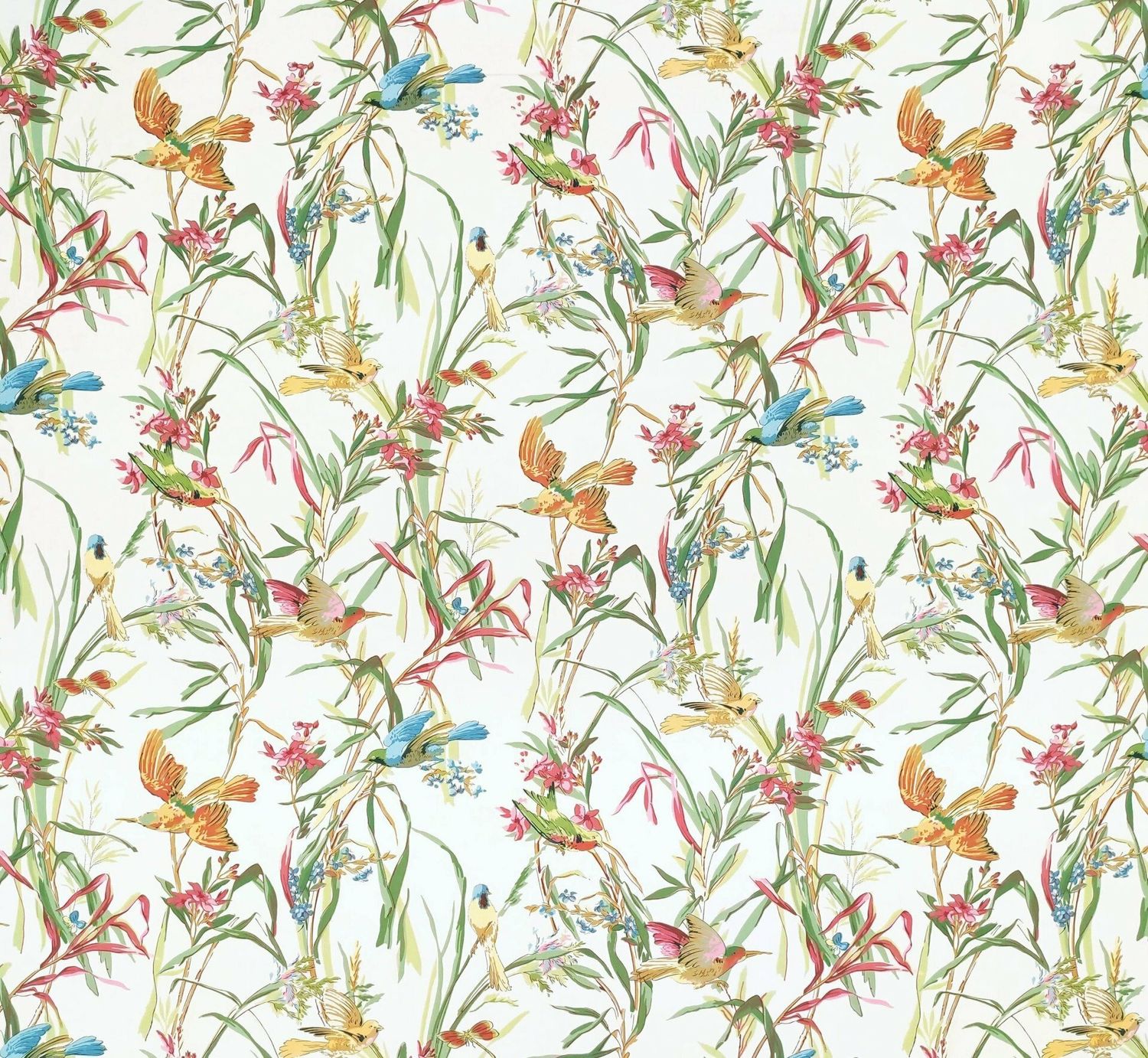 Percale PARADISIERS