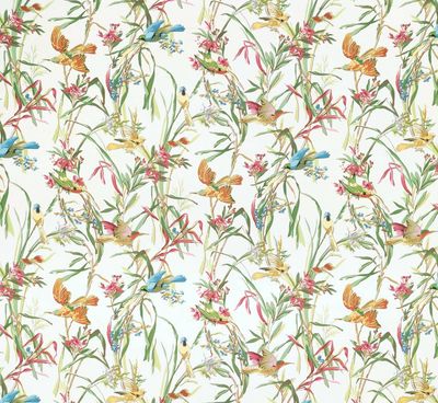 Percale PARADISIERS