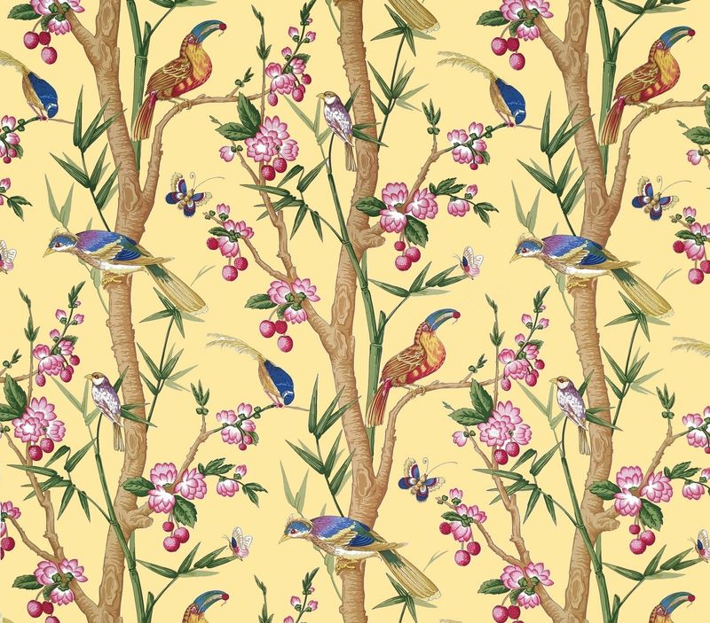 Toile TOUCANS
