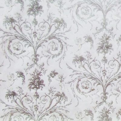 Velours de Coton ANGELOTS