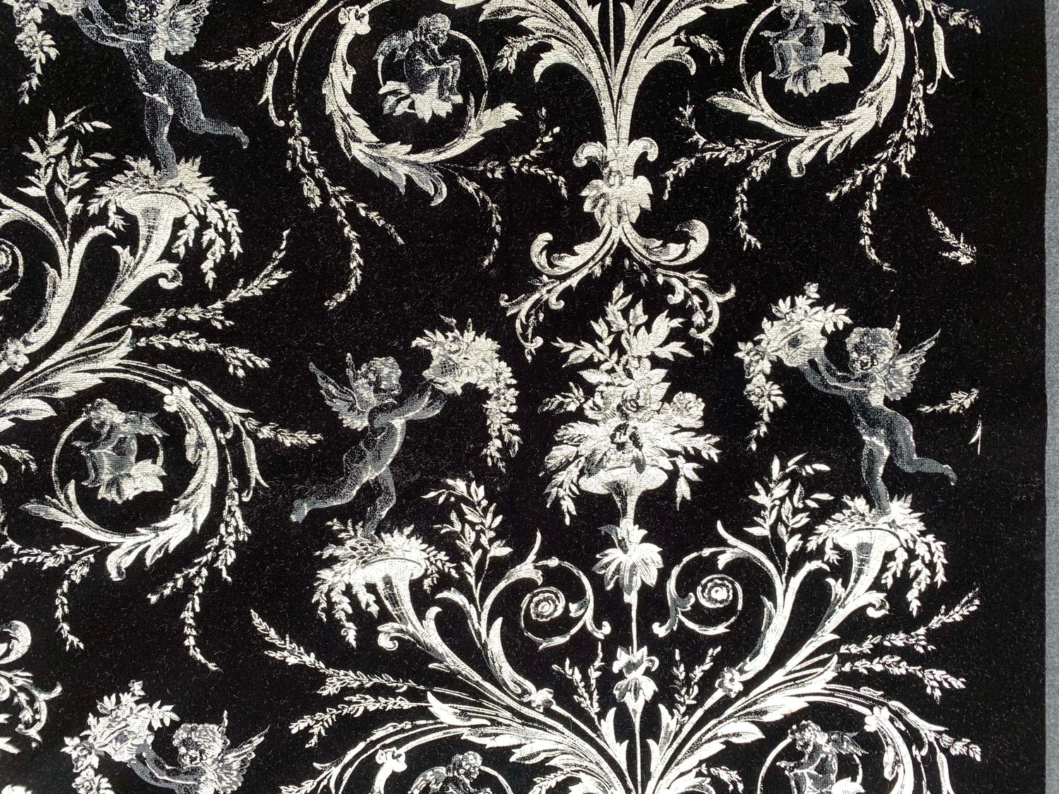 Velours de Coton ANGELOTS