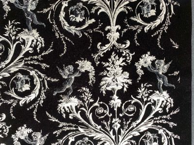 Velours de Coton ANGELOTS