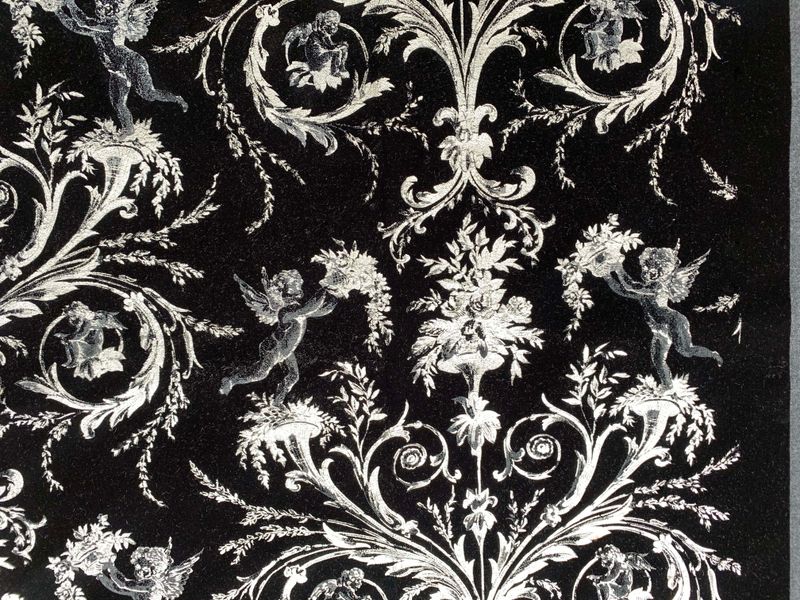 Velours de Coton ANGELOTS