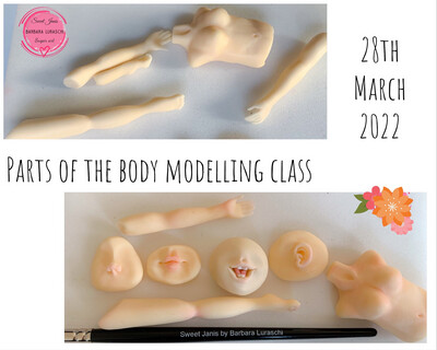 Parts of the body - Modelling Class