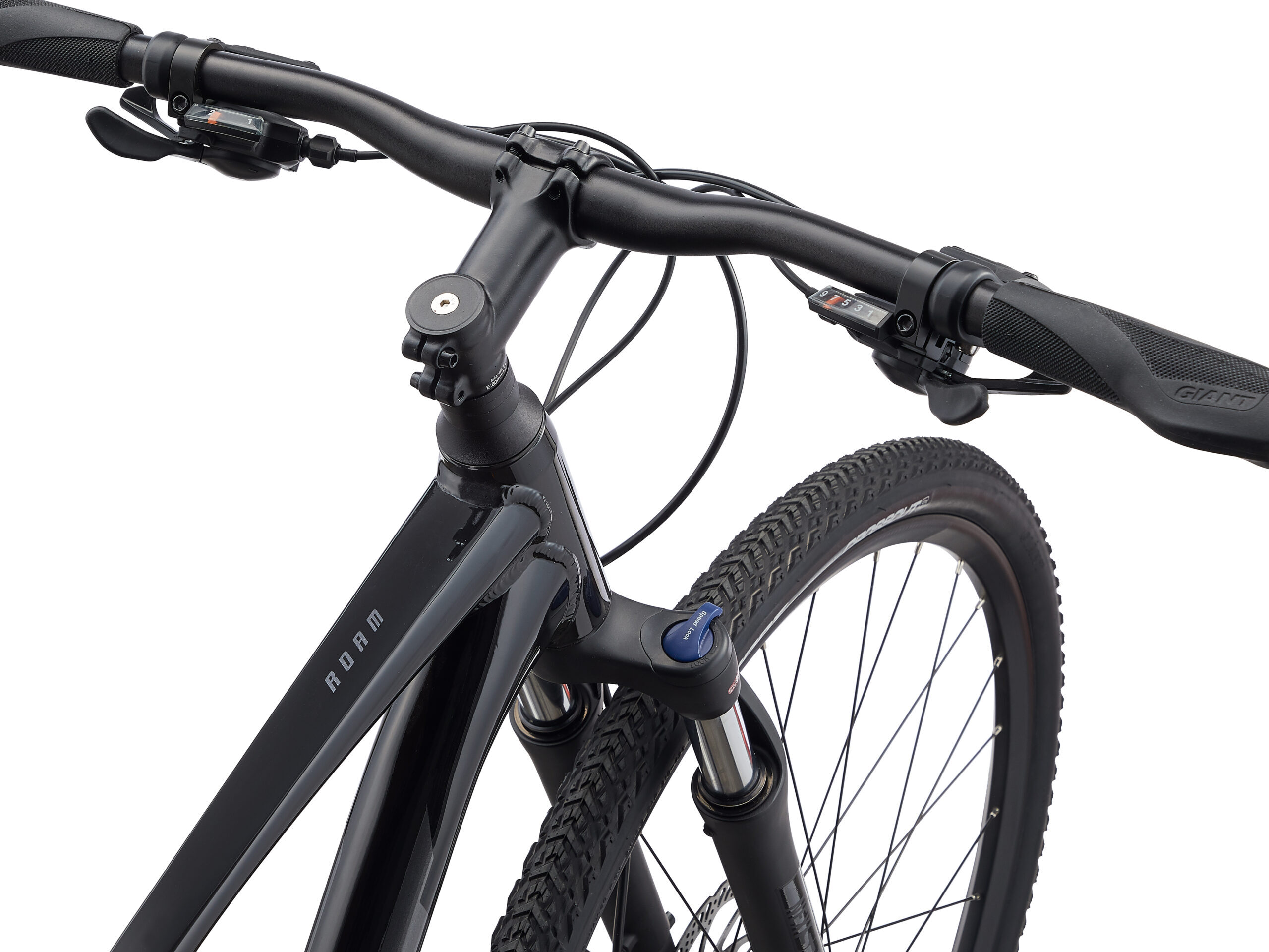 Giant Roam 2 Disc 2022 Hematite