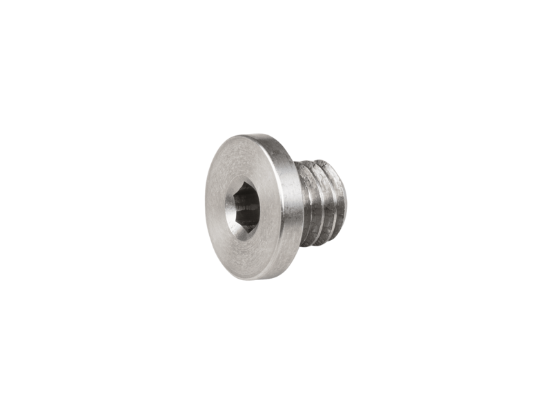 Trek Derailleur Hanger Button Head Bolt