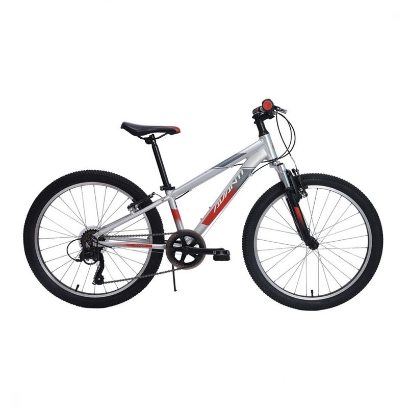 Avanti Shadow 24 Kids&#39; Polished Bike