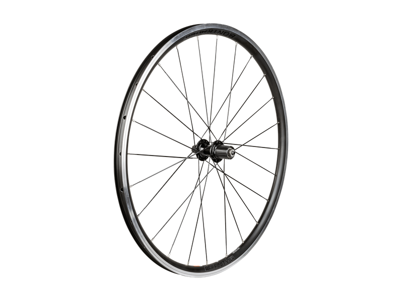 Bontrager Affinity TLR 24H 700c Road Wheel - Rear