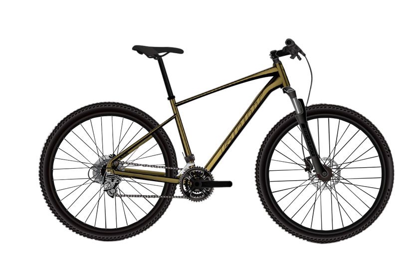 Giant Roam 2 Disc - Pyrite Brown