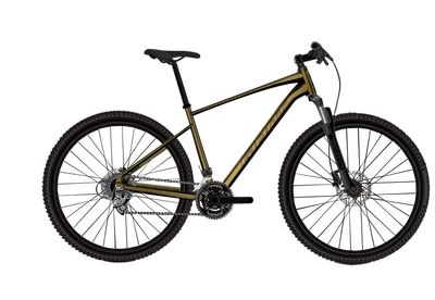 Giant Roam 2 Disc - Pyrite Brown Giant Roam 2 Disc - Pyrite Brown