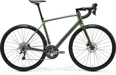 Merida Scultura Endurance 300 - Silk Fog Green
