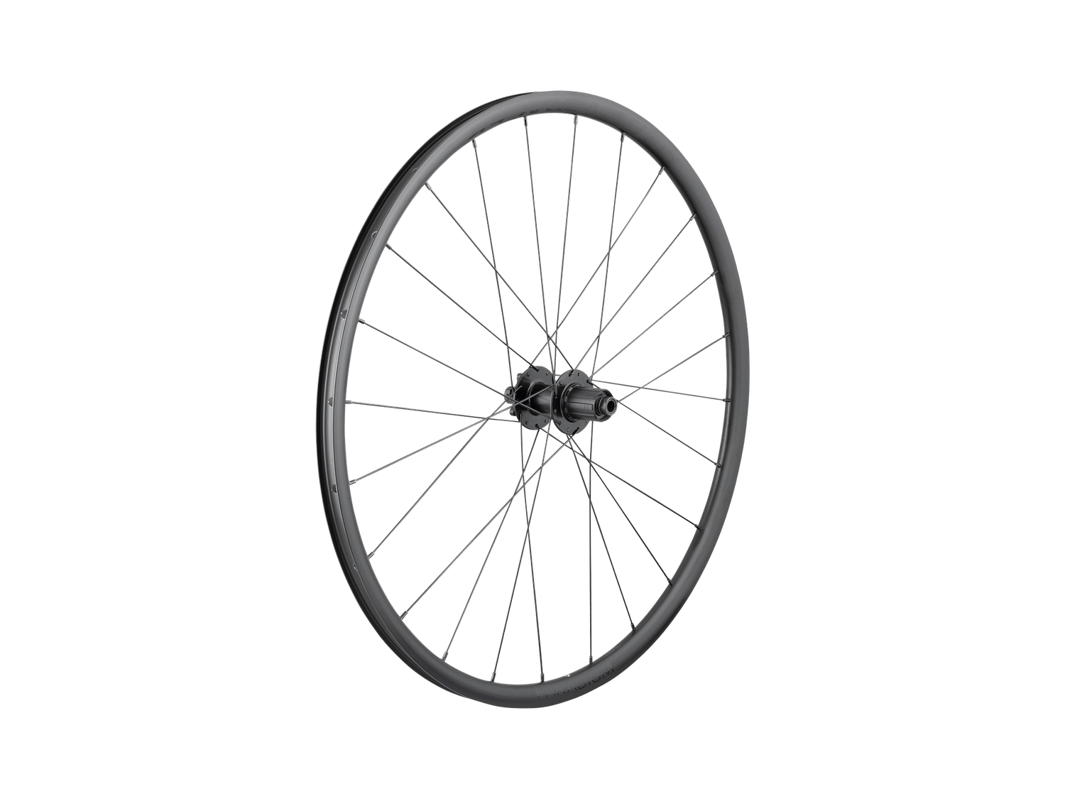 Bontrager Paradigm SL 6-Bolt Disc 24H 700c Road Wheel - Rear