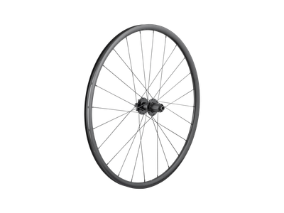 Bontrager Paradigm SL 6-Bolt Disc 24H 700c Road Wheel - Rear