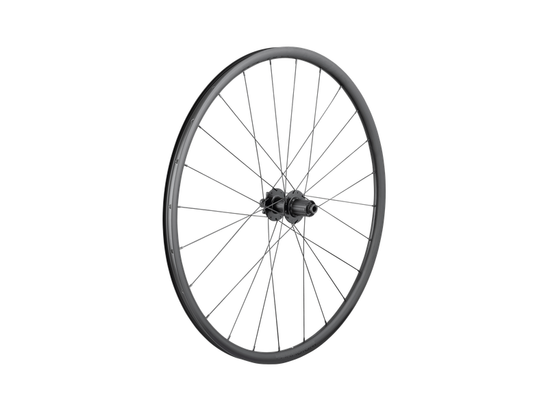 Bontrager Paradigm SL 6-Bolt Disc 24H 700c Road Wheel - Rear