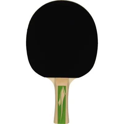 PRO TOUCH
TISCHTENNIS-SCHLÄGER PRO 3000