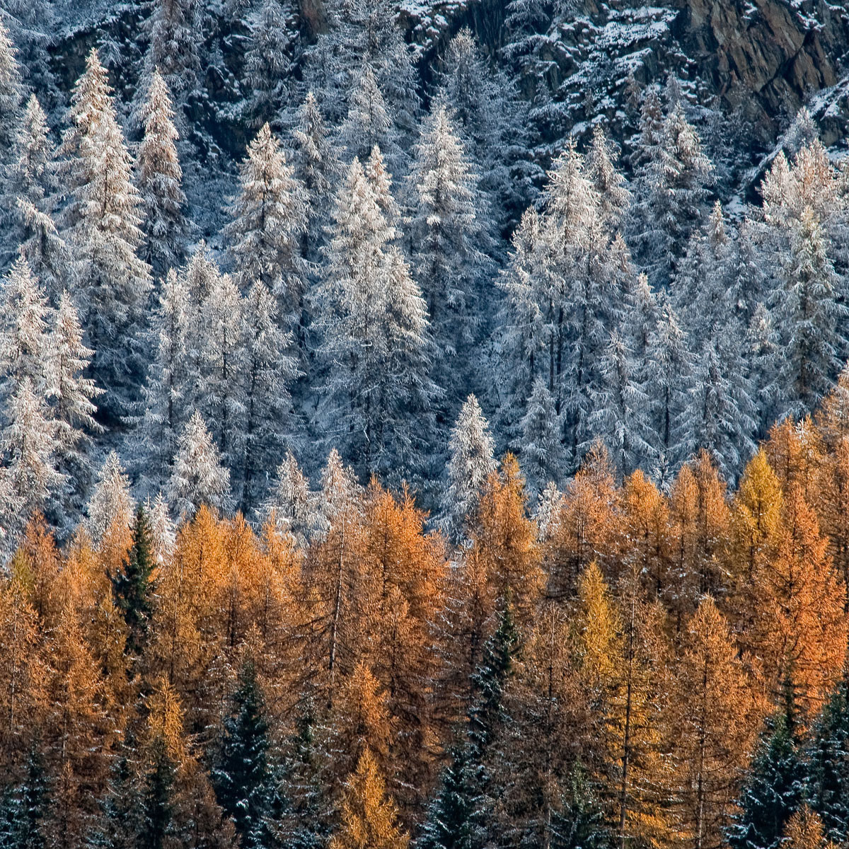 Autunno in Val d&#39;Aosta
