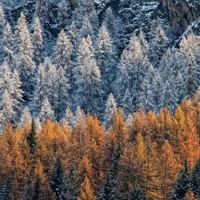 Autunno in Val d&#39;Aosta