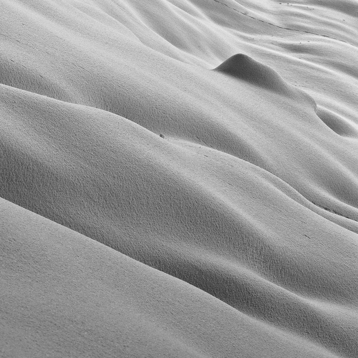 Dunes of Snow