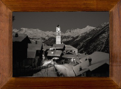 Antagnod invernale Antagnod invernale