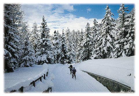 inverno in Valle d'Aosta - Cofanettto 03