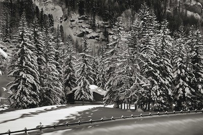 Casetta neve nel bosco