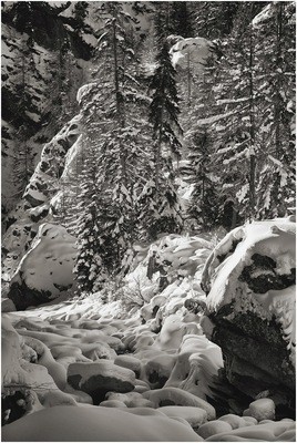 Torrente neve