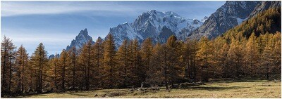 Autunno in Val Ferret - Courmayeur - Monte Bianco - Valle d'Aosta
