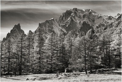 Monte Bianco Val Ferret