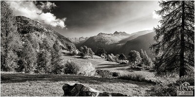 Torgnon Autunno nel bosco
