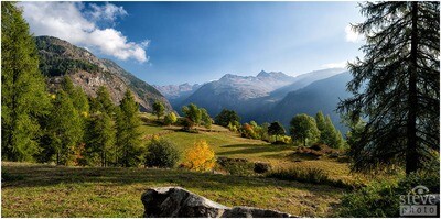 Torgnon Autunno nel bosco