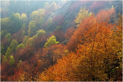 Fiamme d&#39;autunno