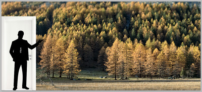 Autunno in Val Ferret