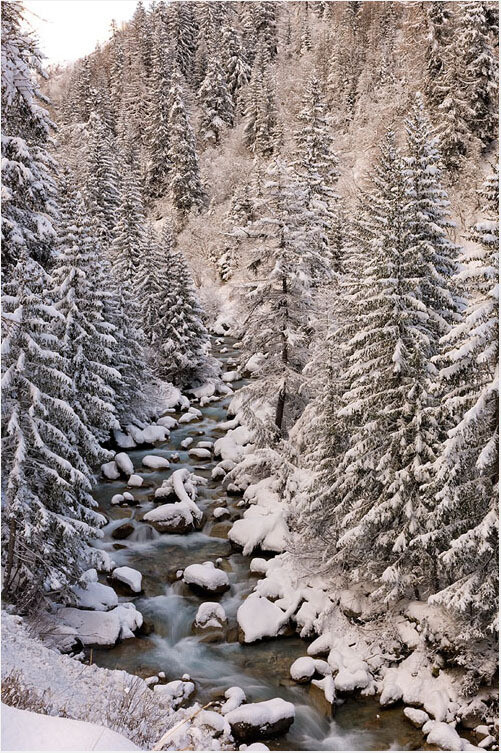 Torrente Ferret - Courmayeur - neve