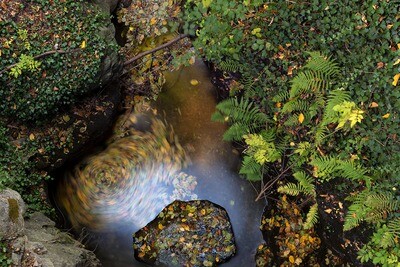 Autunno magico