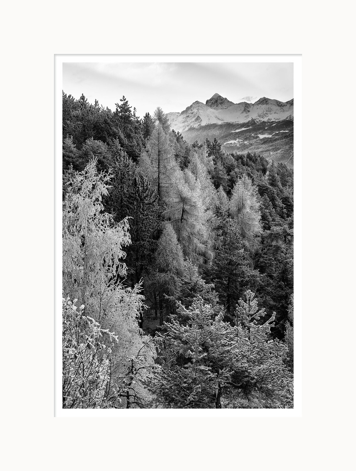 Brina d'Inverno - monte Emilius