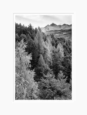 Brina d'Inverno - monte Emilius