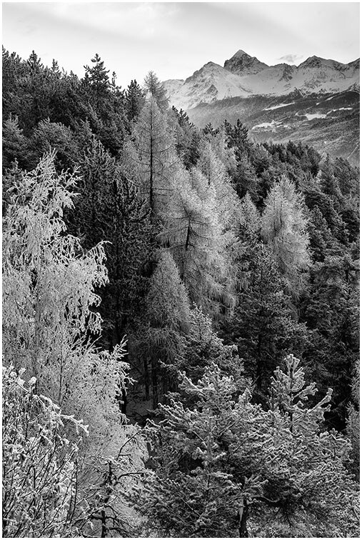 Brina d'inverno Mont Emilius