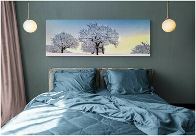 Apple trees at dawn