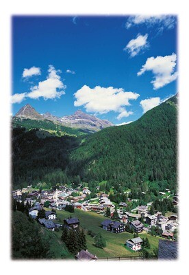 ChampolucEstivoVerticale