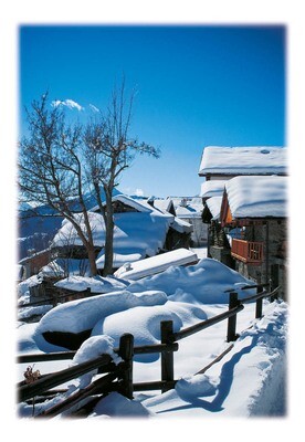 ChamoisNeve ChamoisNeve